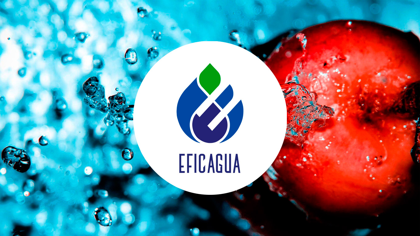 What does Eficagua do?